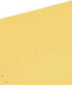 Staples 380483 9.5-Inch x 11-Inch Carbonless Paper 15 lbs 100 Brightness 800/CT