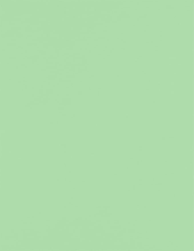 LUXPaper 8.5" x 11" Paper | Letter Size | Pastel Green | 60lb. Text | 500 Qty