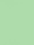 LUXPaper 8.5" x 11" Paper | Letter Size | Pastel Green | 60lb. Text | 500 Qty