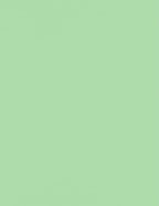 LUXPaper 8.5" x 11" Paper | Letter Size | Pastel Green | 60lb. Text | 500 Qty