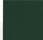 LUXPaper 8.5" x 11" Cardstock | Letter Size | Green Linen | 100lb. Cover (183lb. Text) | 500 Qty
