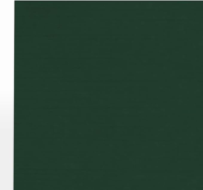 LUXPaper 8.5" x 11" Cardstock | Letter Size | Green Linen | 100lb. Cover (183lb. Text) | 1,000 Qty