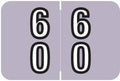 Doctor Stuff - File Folder Labels, Terminal Digit Filing, Consecutive Double Digit Numbers 60-69, Barkley FDDBM Match - BXDM Series Chart Stickers, Lavender, 1" x 1-1/2", 500/Roll
