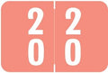 Doctor Stuff - File Folder Labels, Terminal Digit Filing, Consecutive Double Digit Numbers 20-29, Compatible with SMEAD DDS - SMDM Series Chart Stickers, Pink, 1" x 1-1/2", 500/Roll