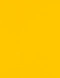 LUXPaper 8.5" x 11" Paper | Letter Size | Sunflower Yellow | 80lb. Text | 250 Qty