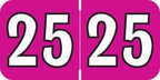 2025 Year Stickers, Doctor Stuff 2025 Chart Stickers, Fuchsia/Black Color Coded, Colwell Jewel Tone Style, USA Made Year Labels for End Tab File Folders, 500/Roll, 1 Roll, 3/4" x 1-1/2"