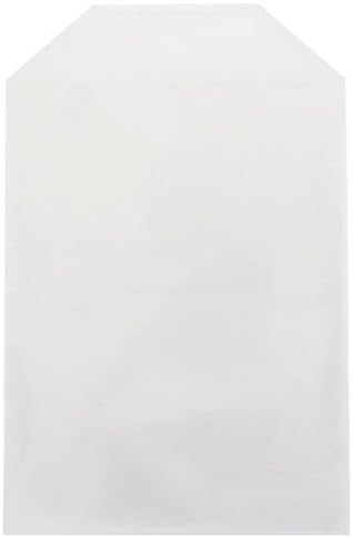 100 Clear CPP Movie Plastic Sleeves + 2 Disc Non-Woven Sleeves by StarTechDeals