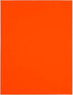 JAM PAPER Shipping Address Labels - Large - 3 1/3 x 4 - Neon Fluorescent Red/Orange - 120/Pack