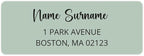 Dotty about Paper Personalized Sage Green Colorblock - Return Address Labels x 100