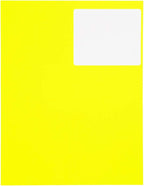 JAM PAPER Shipping Address Labels - Large - 3 1/3 x 4 - Neon Fluorescent Yellow - 120/Pack