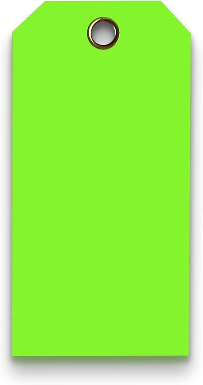 Tags 4 Less 15 Mil Waterproof Plastic Tags, Pack of 100 – 2” x 4” Heavy Duty Plastic Tags for Labeling, Outdoor Tagging, Equipment Labeling, Luggage, Valves & More (Fluorescent Green)