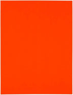 JAM PAPER Shipping Address Labels - Standard Mailing - 2 x 4 - Neon Orange/Fluorescent Red - 120/Pack
