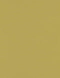 LUXPaper 8.5" x 11" Paper | Letter Size | Olive Green | 70lb. Text | 50 Qty