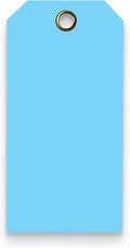 Tags 4 Less 15 Mil Waterproof Plastic Tags, Pack of 100 – 2” x 4” Heavy Duty Plastic Tags for Labeling, Outdoor Tagging, Equipment Labeling, Luggage, Valves & More (Light Blue)