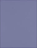 LUXPaper 8.5" x 11" Paper | Letter Size | Wisteria Purple | 80lb. Text | 50 Qty