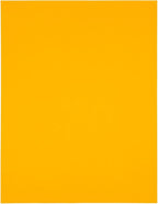 JAM Paper Mailing Address Labels - Extra Large - 4" x 5" - Neon Fluorescent Orange - 120/pack