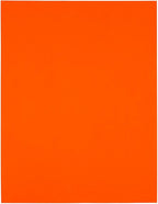 JAM PAPER Shipping Address Labels - 4 x 5 - Quarter Page/Extra Large - Neon Deep Red/Orange - 120/Pack