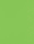 LUXPaper 8.5" x 11" Paper | Letter Size | Limelight Green | 80lb. Text | 50 Qty