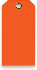 Tags 4 Less 15 Mil Waterproof Plastic Tags, Pack of 100 – 2” x 4” Heavy Duty Plastic Tags for Labeling, Outdoor Tagging, Equipment Labeling, Luggage, Valves & More (Orange)