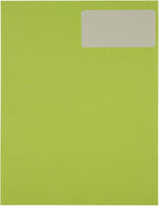 JAM PAPER Shipping Address Labels - Standard Mailing - 2 x 4 - Ultra Lime Green - 120/Pack