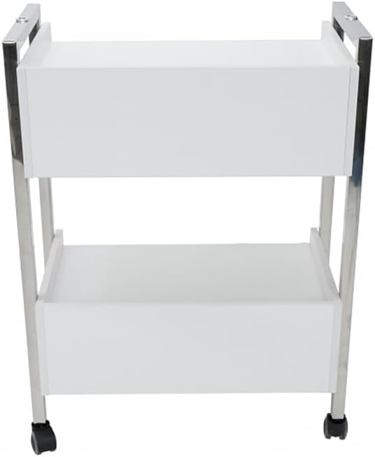 Supreme Medical Dental Mobile Utility Cabinet with Steel Frame and Two Drawer With One lockable Drawer cart