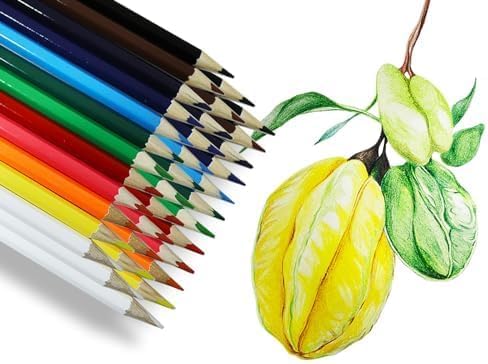 S & E TEACHER'S EDITION 240Pcs Colored Pencils, Coloring Pencils Set Drawing Pencils for Sketch, Woodcase Lead Arts, for Coloring Books Christmas Gifts
