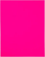 JAM PAPER Full Sheet Shipping Labels - Printable Sticker Paper - 8 1/2 x 11 - Neon Pink - 10 Full Pages/Pack