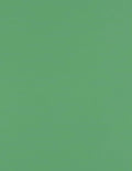 LUXPaper 8.5" x 11" Paper | Letter Size | Holiday Green | 80lb. Text | 50 Qty