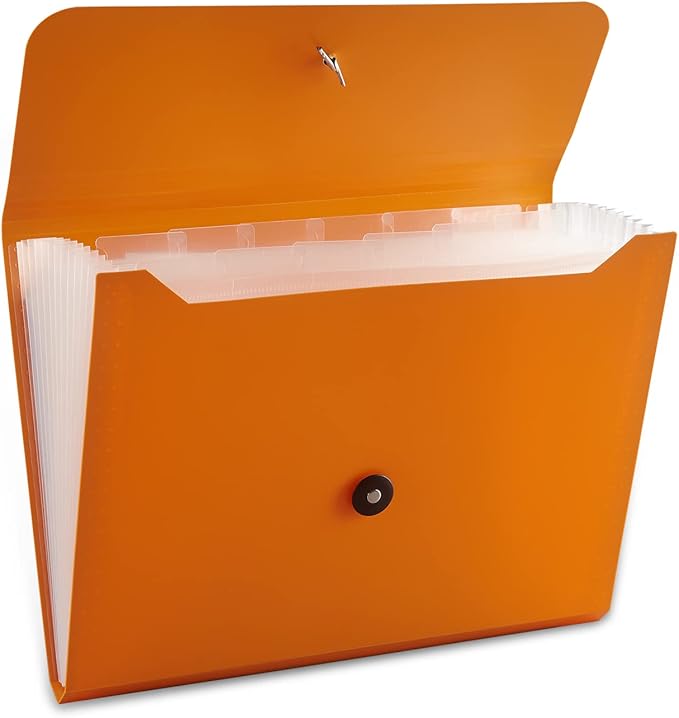Nicfaec Expanding File Folder, 13 Pockets, Orange, Polypropylene for Work, School, Home, Office