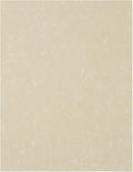 LUXPaper 8.5" x 11" Paper | Letter Size | Cream Parchment | 60lb. Text | 50 Qty