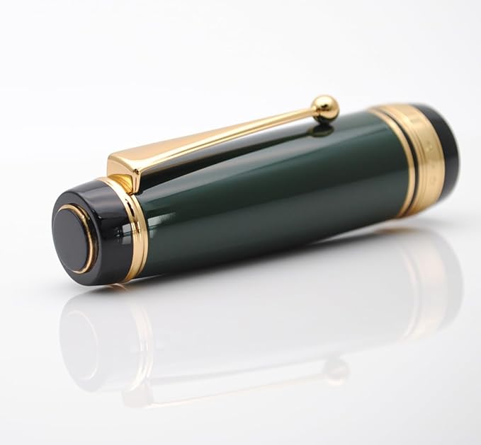 xixixiaozhu Metal Big Fountain Pen Set Medium Nib 0.7mm, Includes Ink Refill Converter, 5 Ink Cartridges & Gift Box (Medium Nib 0.7mm, Green)