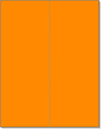 NextDayLabels 8-1/2 x 11" Neon Color High Light Fluorescent Labels for Laser & Inkjet Printer (Orange Fluorescent, 4-1/4" x 11" - 2 Per Page | 50 Labels)