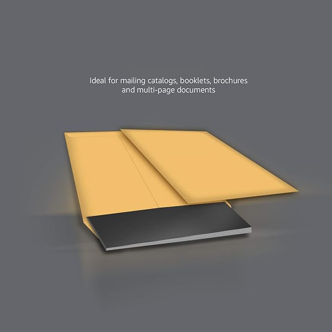 Amazon Basics Catalog Mailing Envelopes, Peel and Seal, 9x12 Inch, Brown Kraft, 250-Pack