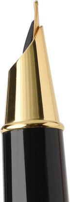 Dryden Designs Fountain Pen - Medium and Fine Nibs | Includes 24 Ink Cartridges and Ink Refill Converter | Calligraphy Pen, Consistent Writing, Smooth Flow - Emerald Green.