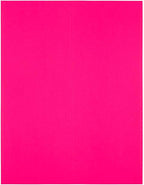 JAM PAPER Shipping Address Labels - Standard Mailing - 2 x 4 - Neon Fluorescent Pink - 120/Pack