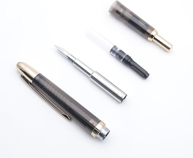 JINHAO 20 Press Fountain Pen, Retractable Capless Resin Pen with Ink Converter (EF Nib 0.4mm, Transparent Black - Gold Clip)