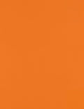 LUXPaper 8.5" x 11" Paper | Letter Size | Mandarin Orange | 80lb. Text | 50 Qty