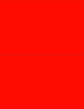 NextDayLabels - 8-1/2 x 11 Neon Color High Light Fluorescent Labels for Laser & Inkjet Printer (RED Fluorescent, 8-1/2" x 5-1/2" - 2 Per Page | 200 Labels)