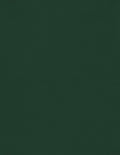 LUXPaper 8.5" x 11" Cardstock | Letter Size | Green Linen | 100lb. Cover (183lb. Text) | 500 Qty