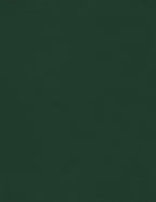 LUXPaper 8.5" x 11" Cardstock | Letter Size | Green Linen | 100lb. Cover (183lb. Text) | 500 Qty