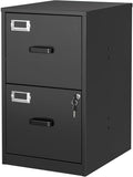 BYNSOE 2 Drawer File Cabinet with Lock Vertical Filing Storage Cabinet Office Home Steel Vertical File Cabinets for Letter Size File Cabinet Locked,Assembly Required