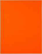 JAM PAPER Full Sheet Shipping Labels - Printable Sticker Paper - 8 1/2 x 11 - Neon Deep Red/Orange - 10 Full Pages/Pack