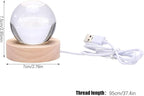 C&M 3D Boy & Rose Crystal Ball Night Light,Boy & Rose Figurine Lamp,Decorative Glass Sphere Ball Paperweight Crystal Sea Animal Decorations for Home (Boy & Rose)