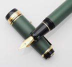 xixixiaozhu Metal Big Fountain Pen Set Medium Nib 0.7mm, Includes Ink Refill Converter, 5 Ink Cartridges & Gift Box (Medium Nib 0.7mm, Matte Green)