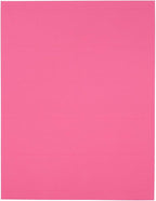 JAM PAPER Shipping Address Labels - Standard Mailing - 2 x 4 - Ultra Pink - 120/Pack