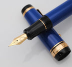 xixixiaozhu Metal Big Fountain Pen Set Medium Nib 0.7mm, Includes Ink Refill Converter, 5 Ink Cartridges & Gift Box (Medium Nib 0.7mm, Blue)