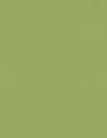 LUXPaper 8.5" x 11" Paper | Letter Size | Avocado Green | 70lb. Text | 250 Qty