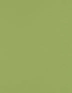 LUXPaper 8.5" x 11" Paper | Letter Size | Avocado Green | 70lb. Text | 250 Qty