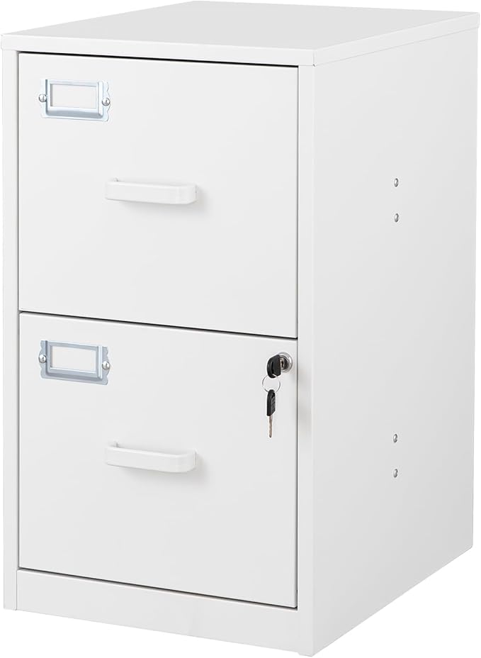 BYNSOE 2 Drawer File Cabinet with Lock Vertical Filing Storage Office Home Steel Vertical File Cabinets for Letter Size File Cabinet Locked,Assembly Required