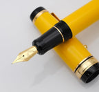 xixixiaozhu Metal Big Fountain Pen Set Medium Nib 0.7mm, Includes Ink Refill Converter, 5 Ink Cartridges & Gift Box (Medium Nib 0.7mm, Yellow)